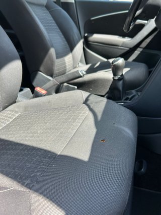 Volkswagen Polo 2017