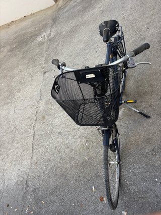 Bicicleta Gazelle Holandesa Azul