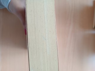 La fortaleza de la soledad - Jonathan Lethem
