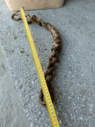 Barbiquejo de cuero trenzado Antigua Barbada