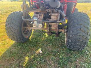 Buggy matriculado