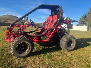 Buggy matriculado