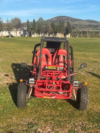 Buggy matriculado