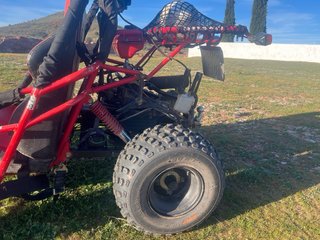 Buggy matriculado