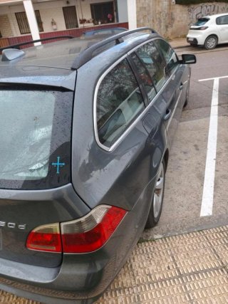 BMW Serie 5 2006 e61