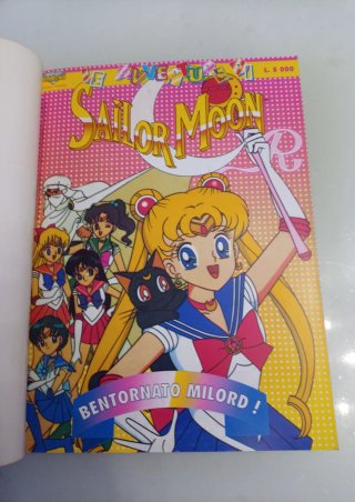 Sailor Moon Collezioni Diamond Publishing 2 numeri