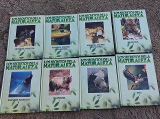 Lote 9 Cintas VHS Pippi Calzaslargas