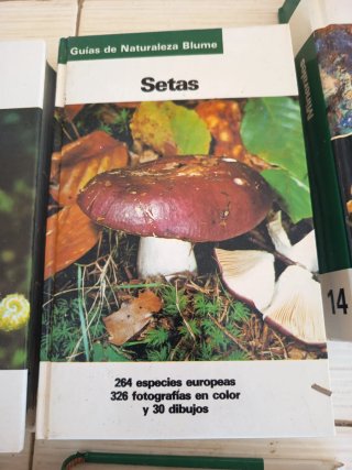 14 libros