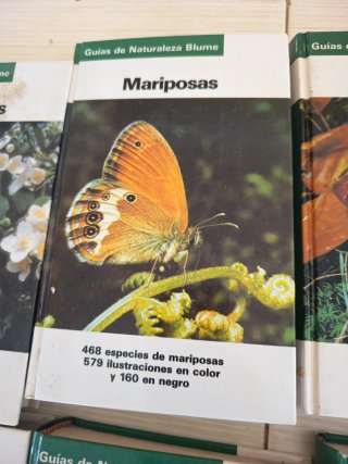 14 libros