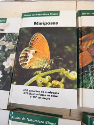 14 libros