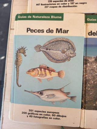 14 libros
