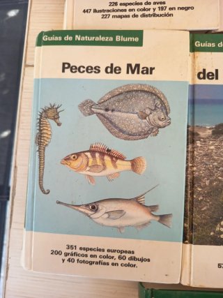 14 libros
