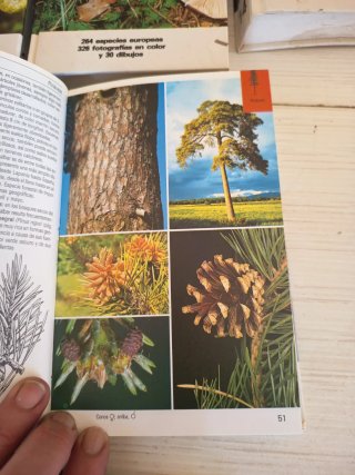 14 libros