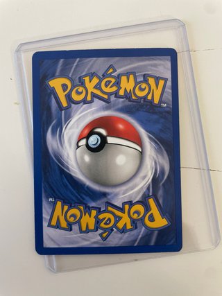 Pokemon Gyarados Base Set Español