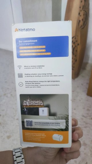 Termostato Inteligente Netatmo