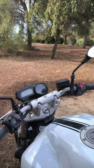 Yamaha FZ6 S2 98cv Naked