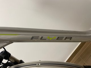 Bicicleta Eléctrica Flyer Plata