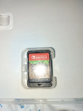 Minecraft Nintendo Switch