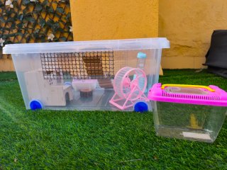 Jaula para hámster con accesorios