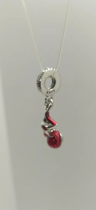 Charm de plata