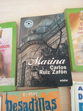 12 libros x 6 eurillos