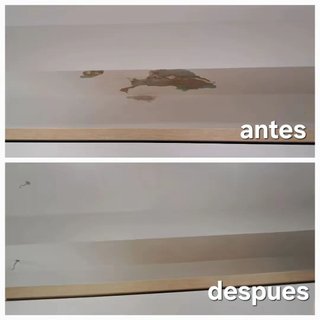 Albañil carpintero pintor paleta manitas reforma