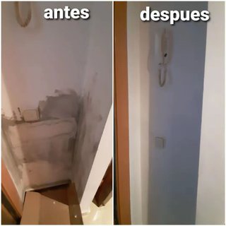 Albañil carpintero pintor paleta manitas reforma