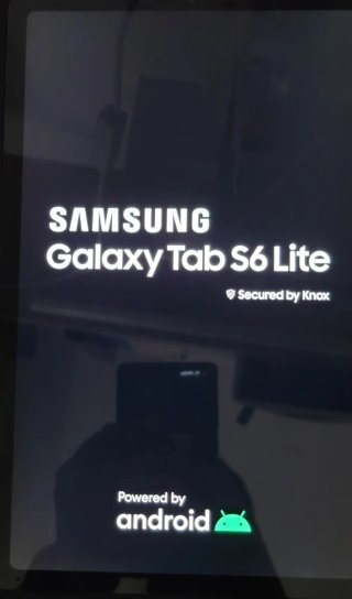 Samsung Galaxy Tab S6 Lite + Lapiz + Fundas...