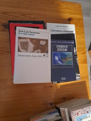 Lote de libros Novela