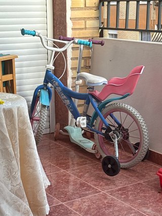 Bicicleta infantil con asiento y ruedines