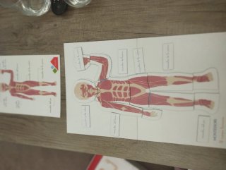 Juego Montessori Cuerpo Humano Clementoni