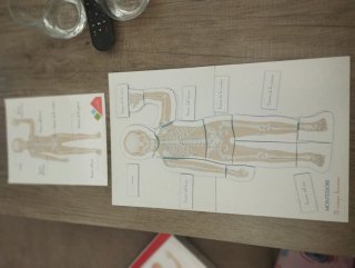 Juego Montessori Cuerpo Humano Clementoni