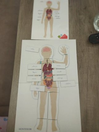 Juego Montessori Cuerpo Humano Clementoni