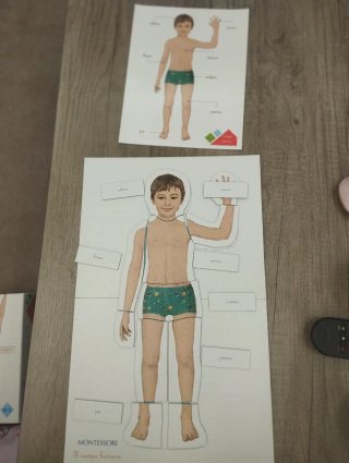 Juego Montessori Cuerpo Humano Clementoni