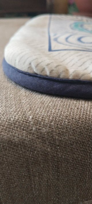 Cojín de Silla con Diseño de Pájaro