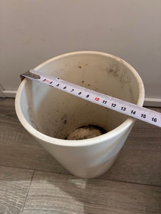 3 Macetas (2 cerámica, 1 plástico)