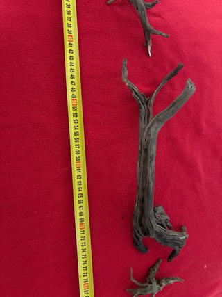 Madera para acuario Raices curadas