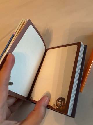 Pack Capybara Mr Wonderful