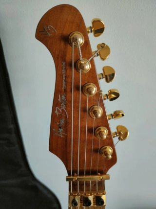 Guitarra Harley Benton Fusion Max Signature