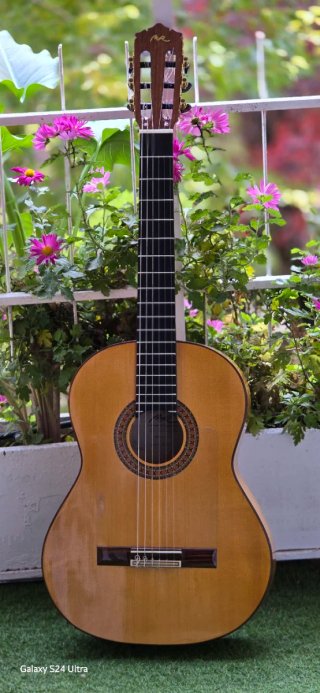 Guitarra Flamenca MR