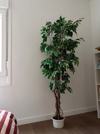Pack 2 Plantas Artificiales Decorativas