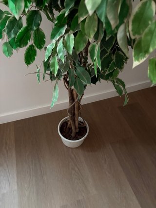 Pack 2 Plantas Artificiales Decorativas