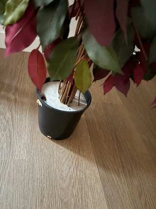 Pack 2 Plantas Artificiales Decorativas