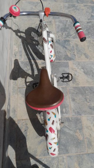 Bicicleta Infantil Electra