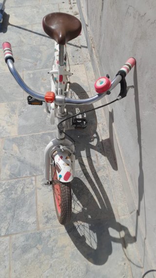 Bicicleta Infantil Electra