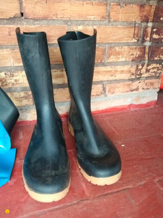 Macaco de cítricos azul y botas de campo
