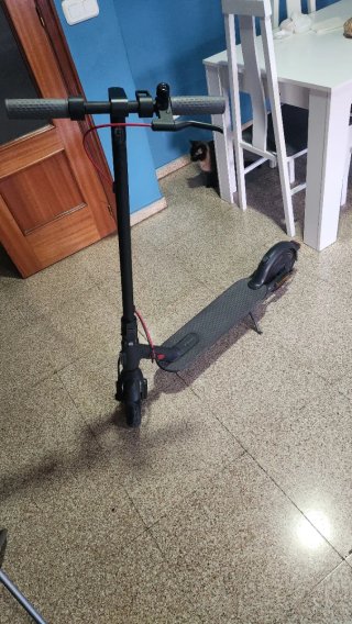Patinete Eléctrico Xiaomi