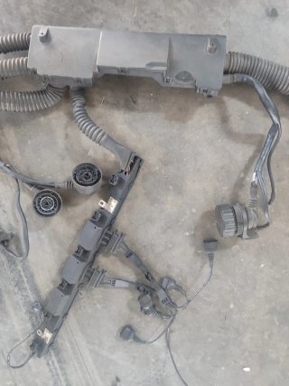 Cableado Motor BMW M50 no vanos  Sin cortes