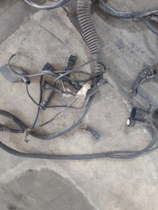 Cableado Motor BMW M50 no vanos  Sin cortes