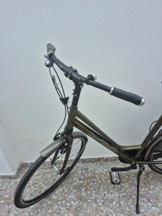 Bicicleta urbana verde